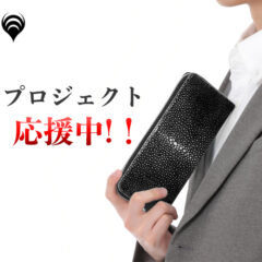 ANiMA x Makuakeプロジェクト応援中